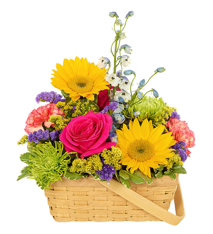 Sunshine in a Basket