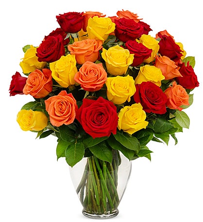 Red, Yellow, & Orange Roses, 36-6 Stems