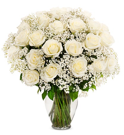 White Roses, 36-6 Stems
