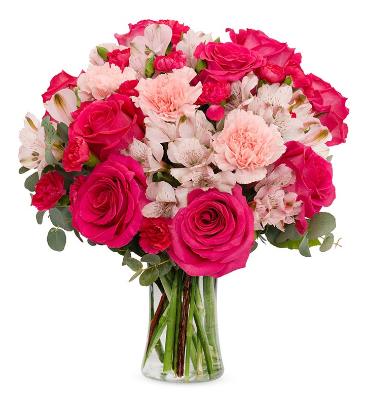 花卉23 Rose Elegance™ Premium Long Stem Red Roses | 1800Flowers.com