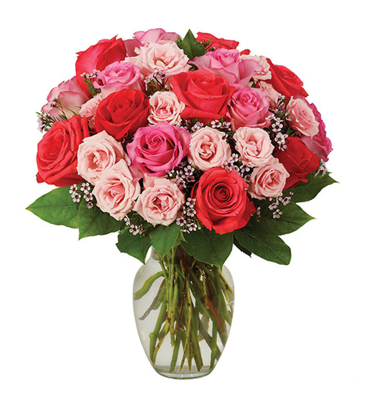 Sweetest Pink Roses, 15 24 Stems