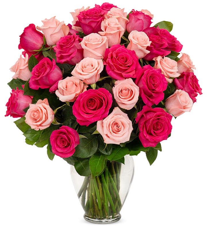 Sweetest Pink Roses, 15 24 Stems