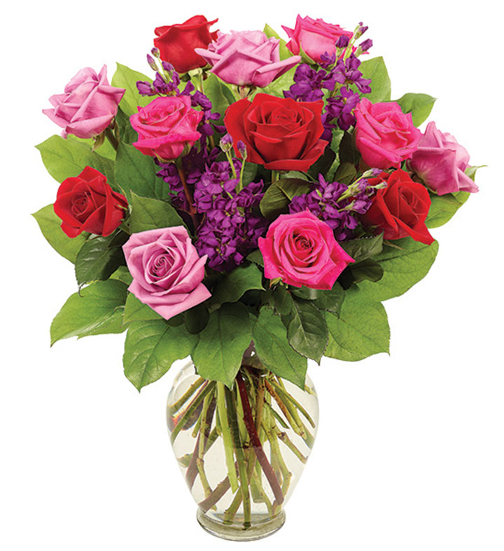 Radiant Roses, 9 12 Stems