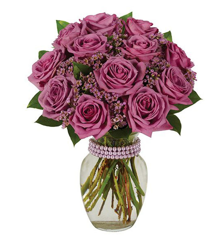 Purple Roses, 12 24 Stems