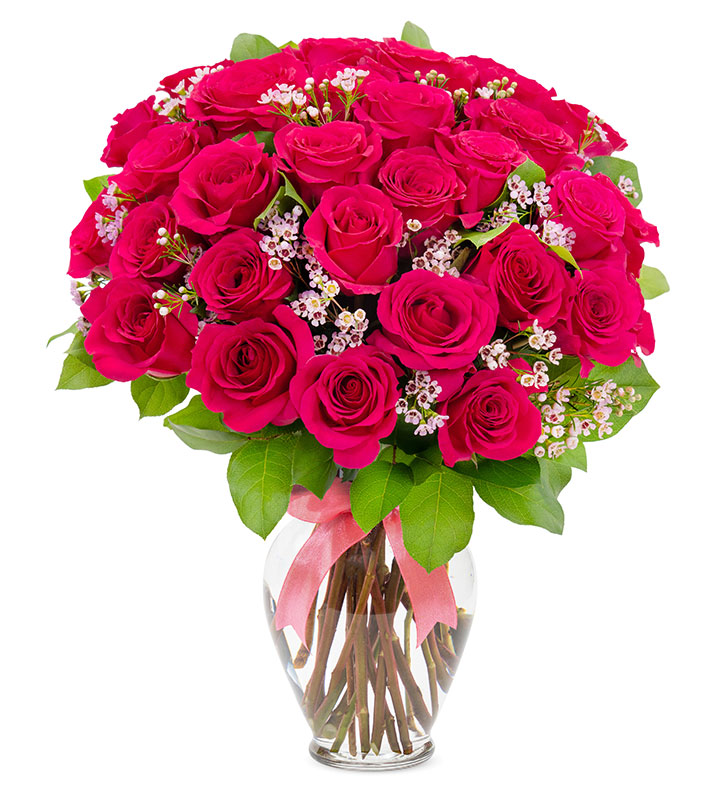 pink rose♡ Rose Pink Floyd - Pink Flowers - Fleurs Rose - Public albums