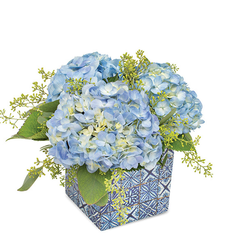 Brilliant in Blue Planter