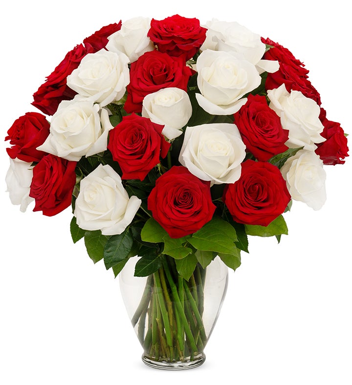 Red & White Roses, 36-6 Stems 