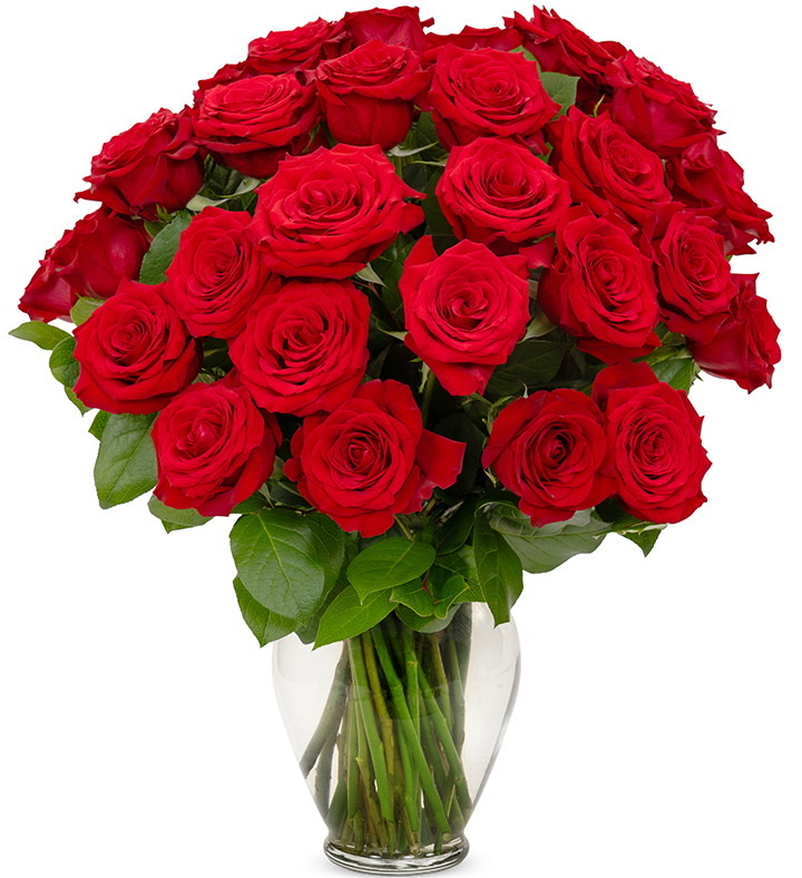 Classic Red Roses, 36-6 Stems 